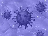 Foto: Un fármaco antiparasitario logra matar al coronavirus en 48 horas