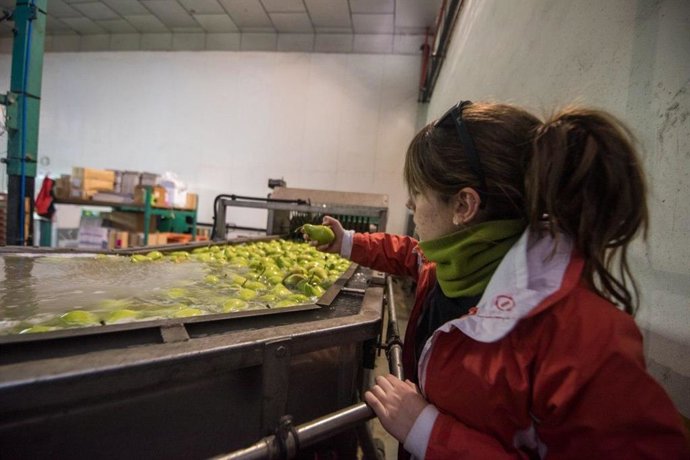 Trabajador industria alimentaria
