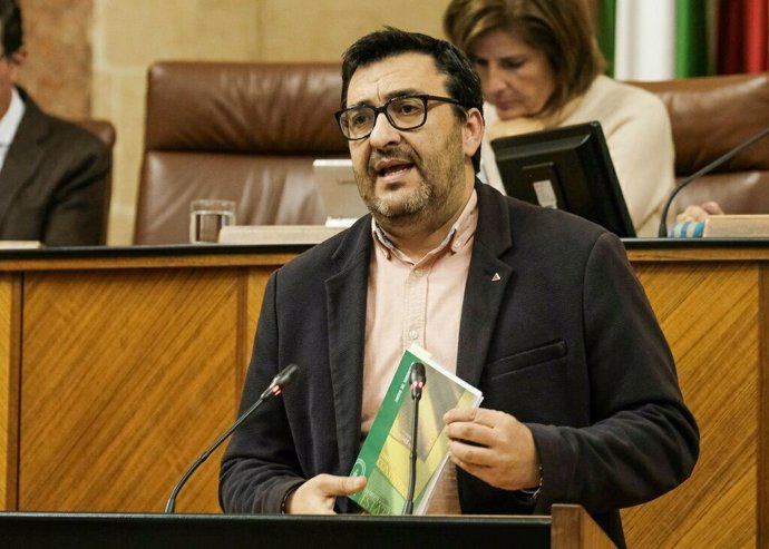 El diputado de Adelante Andalucía Guzmán Ahumada interviene en el Parlamento andaluz.