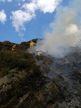 Incendio forestal