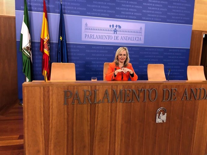 La parlamentaria de Ciudadanos (Cs) por Sevilla Ana Llopis