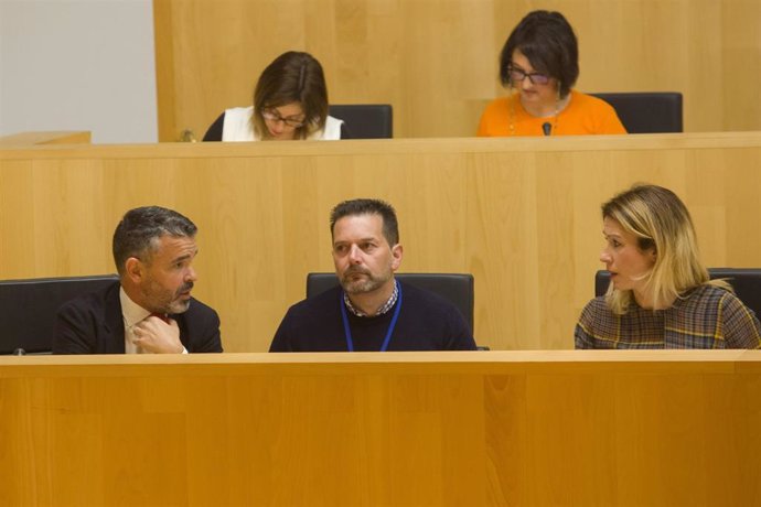 Pleno del mes de febrero de 2020 de la Diputación de Málaga