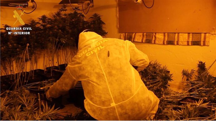 Marihuana decomisada en una operación antidroga en Granada, en imagen de archivo