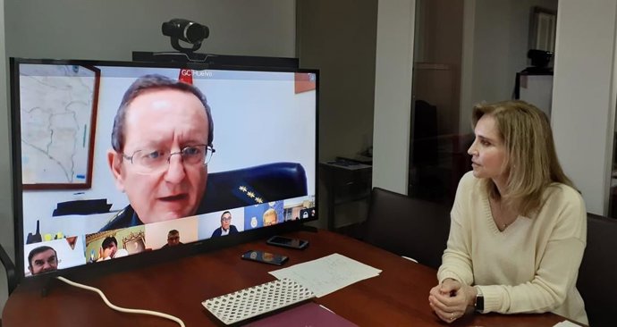La subdelegada del Gobierno en Huelva, Manuela Parralo, en una videoconferencia.