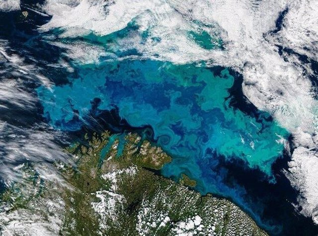 Eclosión de microalgas en el Ártico vista desde el espacio