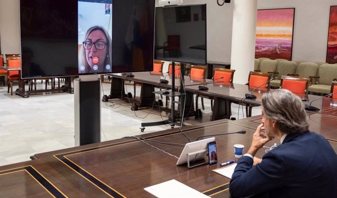 El presidente del Parlamento de Canarias, Gustavo Matos, y la presidenta de la Coprepa, Blanca Martín, en una reunión telemática para evaluar el impacto del coronavirus