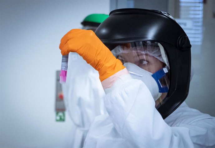 Una trabajadora de un laboratorio holandés prepara muestras para analizarlas y detectar casos de coronavirus.
