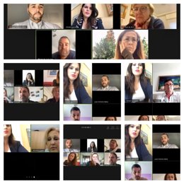 Imagen de la videoconferencia mantenida por diputados del PP con representantes del sector
