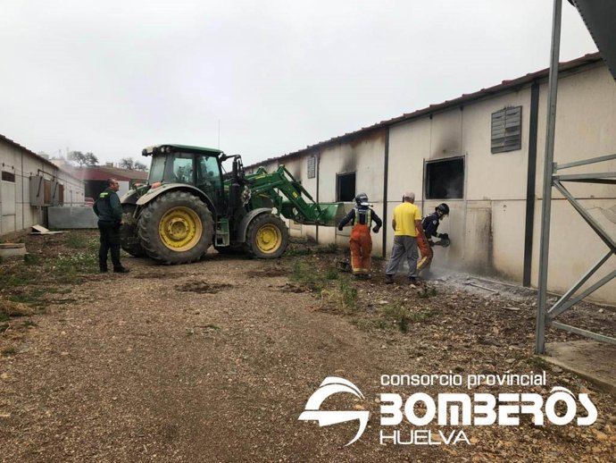 Imagen de los bomberos trabajando en la extinción del incendio en la nave de ganado porcino de Calañas