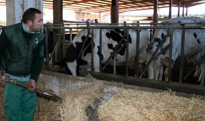 Coronavirus.- El sector agrario recauda casi 50.000 euros para donar material sa