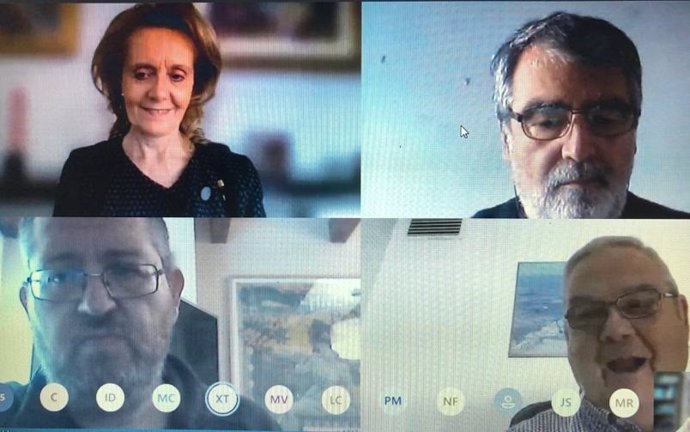 Videoconferncia de la consellera de Cultura de la Generalitat, Maringela Vilallonga, amb responsables de cultura popular