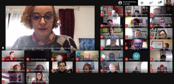 Reunón telemática de la comisión de trabajo