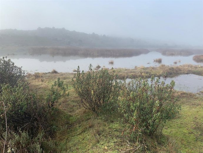 La Comunidad promoverá actuaciones en los humedales para su conservación