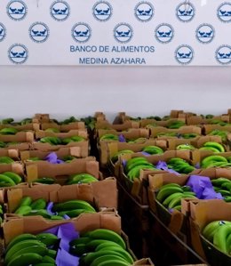 Asprocan dona más de 220.000 kilos de plátanos a los Bancos de Alimentos que ben
