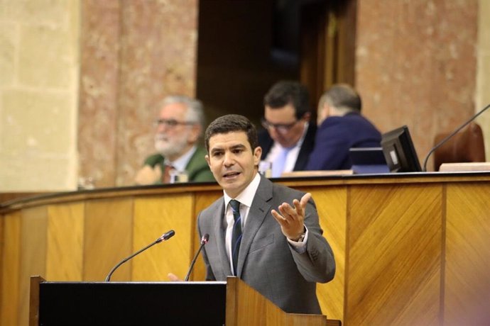 El portavoz del grupo parlamentario de Ciudadanos (Cs), Sergio Romero.