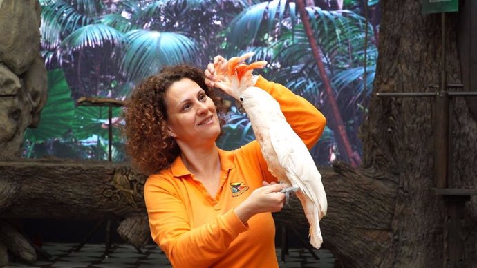 COMUNICADO: Loro Parque continúa haciendo las presentaciones de animales sin púb