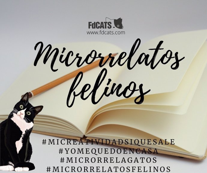 Cartel del Concurso de 'Microrrelatos Felinos' que convoca FdCATS.