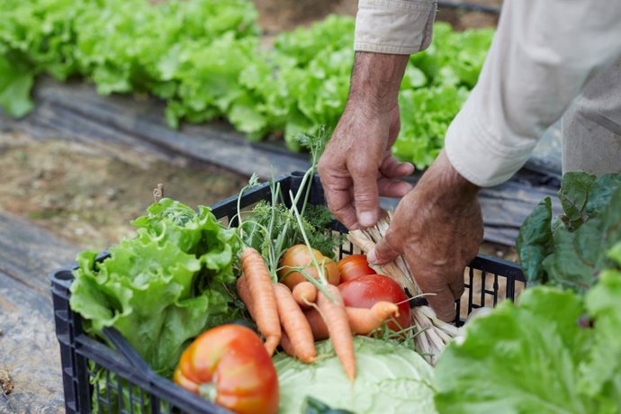 Coronavirus.- Fundació La Caixa ofrece una bolsa de trabajo para la recogida de 
