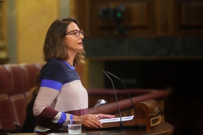 La diputada nacional, Isabel Borrego