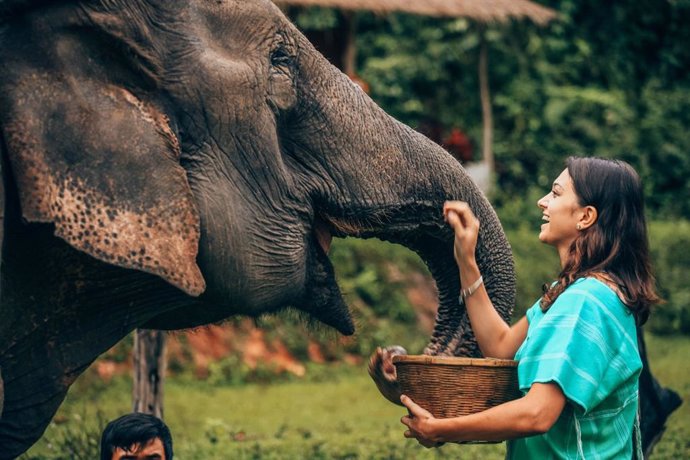 Mujer alimentando a un elefante,