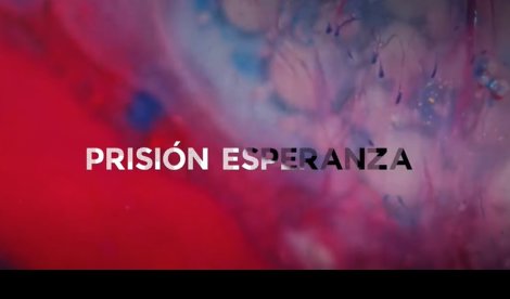 Cooperación y Desarrollo