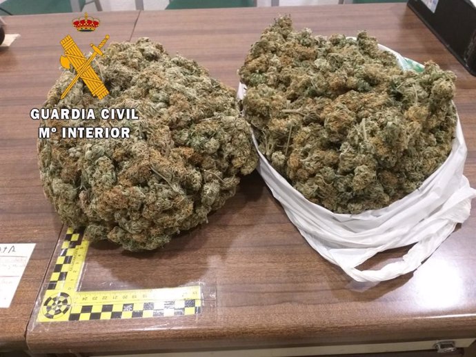Marihuana intervenida en Navalmoral de la Mata