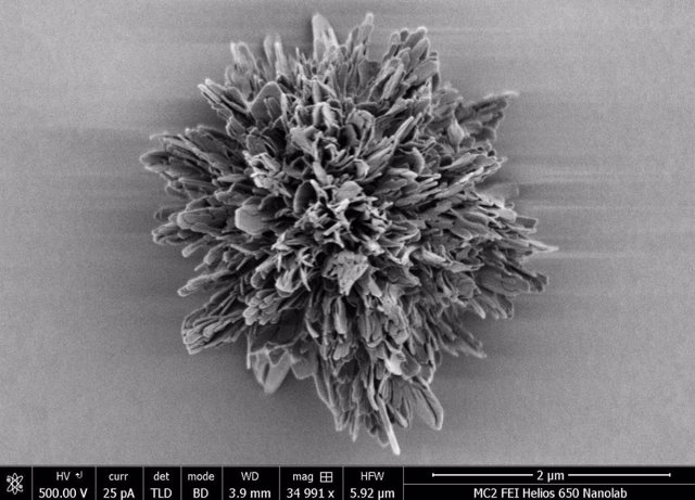 La micropartícula sintética con la complejidad más alta que se ha medido