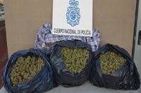 Detenido en Almería un hombre que transportaba en su vehículo 11 kilos de cogollos de marihuana