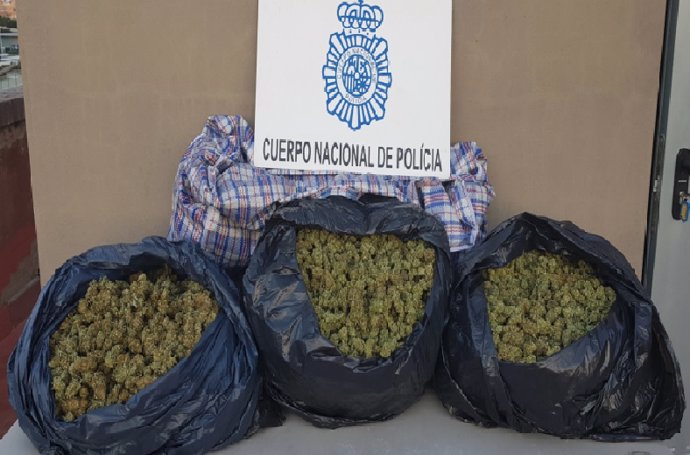 Imagen de los cogollos de marihuana aprehendidos por la Policía en un control en Almería. 