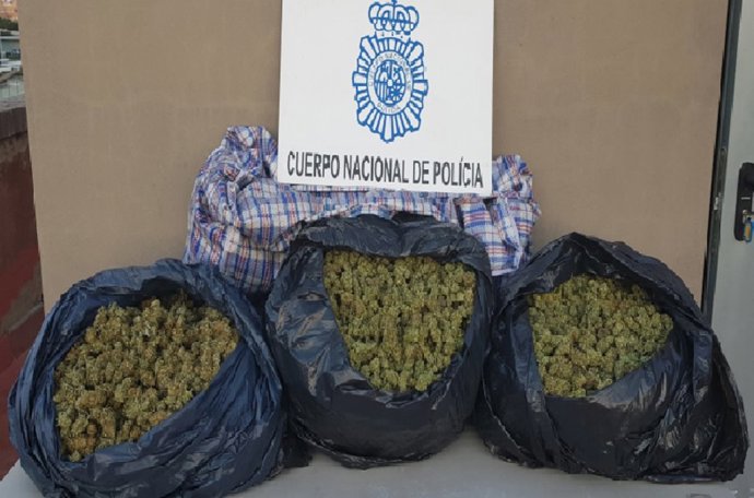 Imagen de los cogollos de marihuana aprehendidos por la Policía en un control en Almería. 