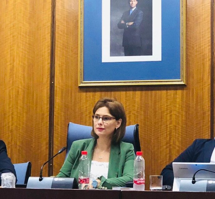 La parlamentaria de Ciudadanos por Granada y portavoz de la comisión de Educación y Deporte, Mar Sánchez.