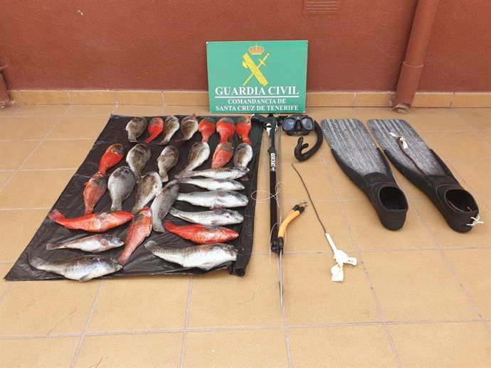 Coronavirus.- La Guardia Civil sorprende a un hombre haciendo pesca submarina fu
