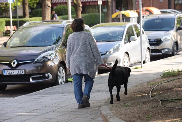 Una persona pasea un perro por las calles de la capital en plena pandemia del coronavirus donde con más de 1,2 millones de casos registrados en el mundo en personas, la infección solo se ha confirmado en dos perros, uno o dos gatos y una tigresa. La OIE s
