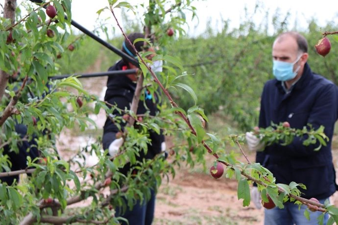 Visita a los cultivos dañados por las tormentas en Entrerríos (Badajoz)