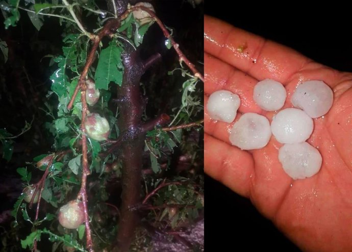 Daños provocados por el granizo en Extremadura