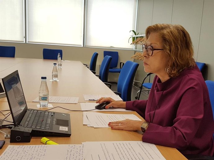 La consejera de Sanidad del Gobierno de Aragon, Pilar Ventura, durante su comparecencia, vía streaming, ante las Cortes de Aragón.