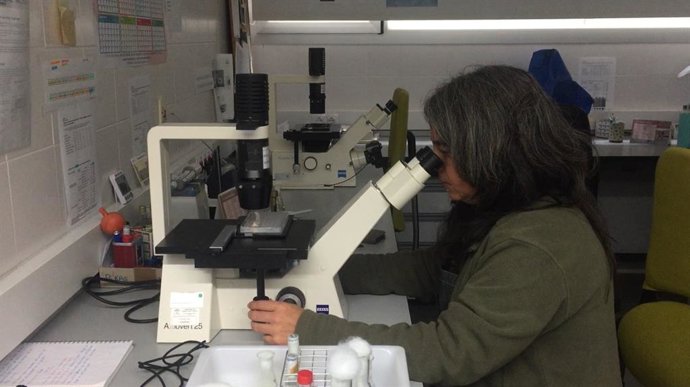 Huelva.- La Junta destaca "la idoneidad" de Cartaya para el Centro Andaluz de Co