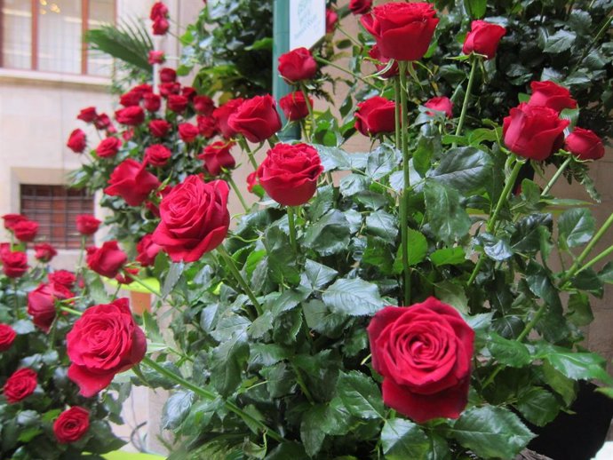 Coronavirus.- El Gremi de Floristes lanza una campaña para enviar rosas a domici