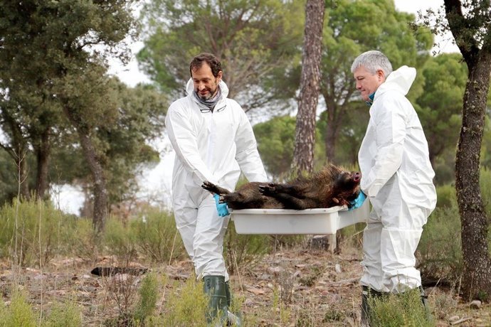 El grupo SaBio de la UCLM.