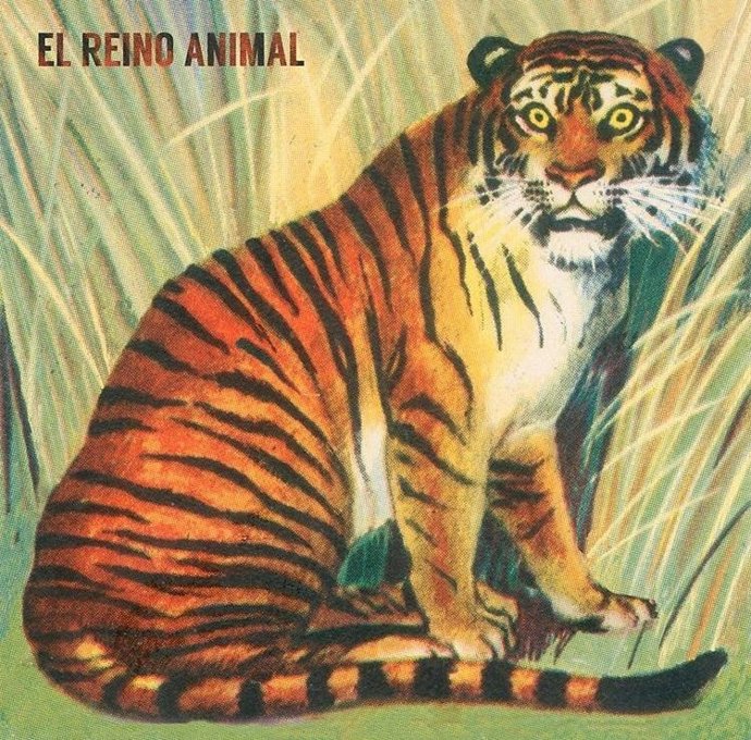 El músico Joel García estrena el vídeo de 'El Reino Animal'