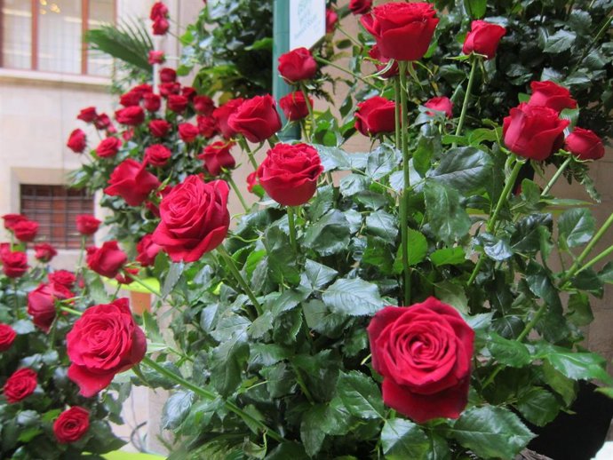 Roses, Sant Jordi