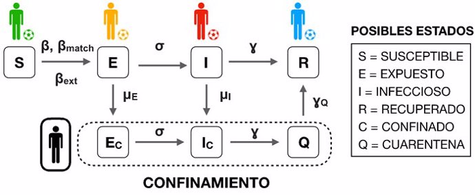 Esquema del modelo SEIR, adaptado para describir los contagios entre futbolistas a lo largo de una temporada