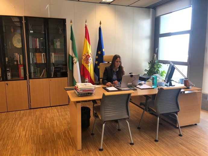 La delegada de Empleo, Formación, Trabajo Autónomo y Economía de la Junta en Granada, Virginia Fernández, inaugura un curso por Skype