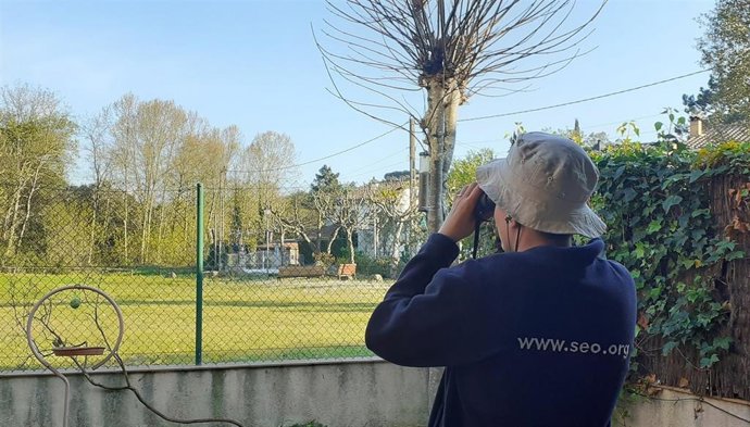 Observación de aves desde casa por el confinamiento para frenar el COVID-E19