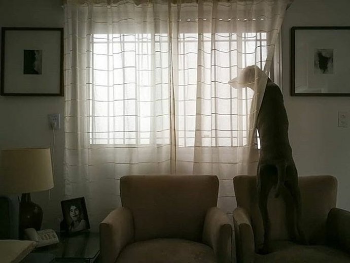 Una de las fotos que se ha presentado al proyecto