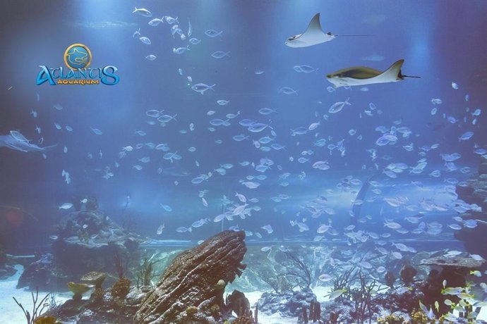 COMUNICADO: Atlantis Aquarium se incorpora a la Asociación Ibérica de Zoos y Acu