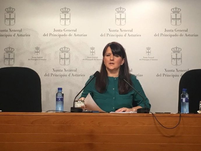 La portavoz de Ciudadanos en la Junta General, Laura Pérez Macho