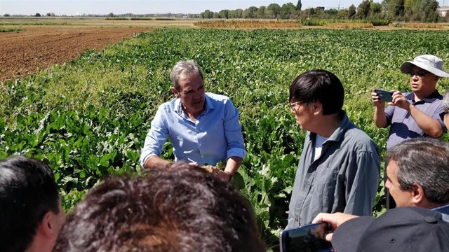 Visita de Corea al Itacyl