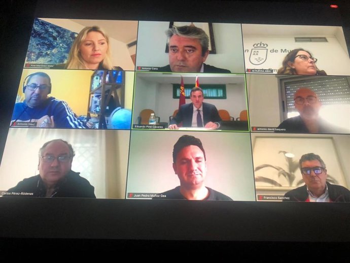 Reunión telemática del Consejo Asesor Regional de Industria de la Región de Murcia