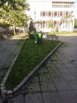 Labores de desbroce en Mérida